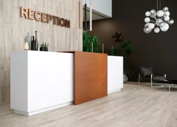 Produit NWOOD SILVER XXL RET 20*120 Image